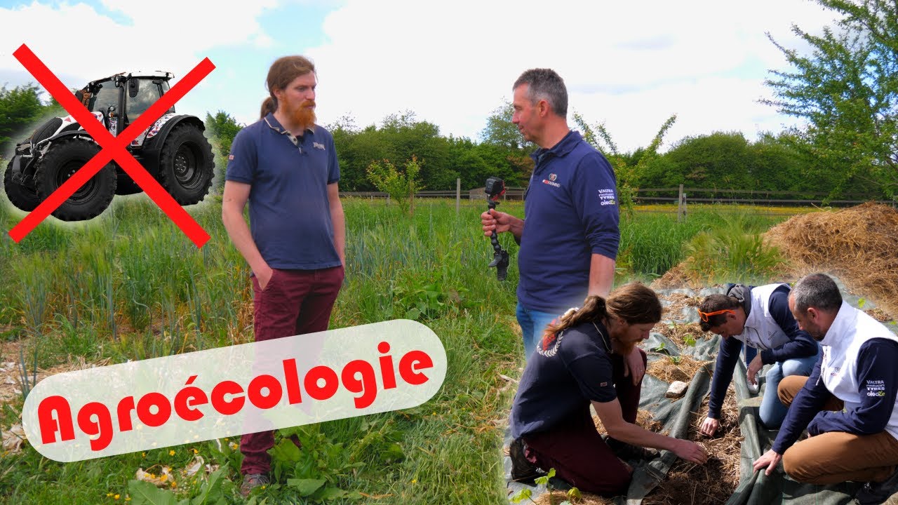 Il cultive sans tracteur : une autre approche de l'agriculture de conservation ! #CoFarmingTour