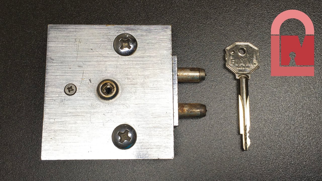 Fiam Prazis Commercial Criciform Lock Pick and Gut