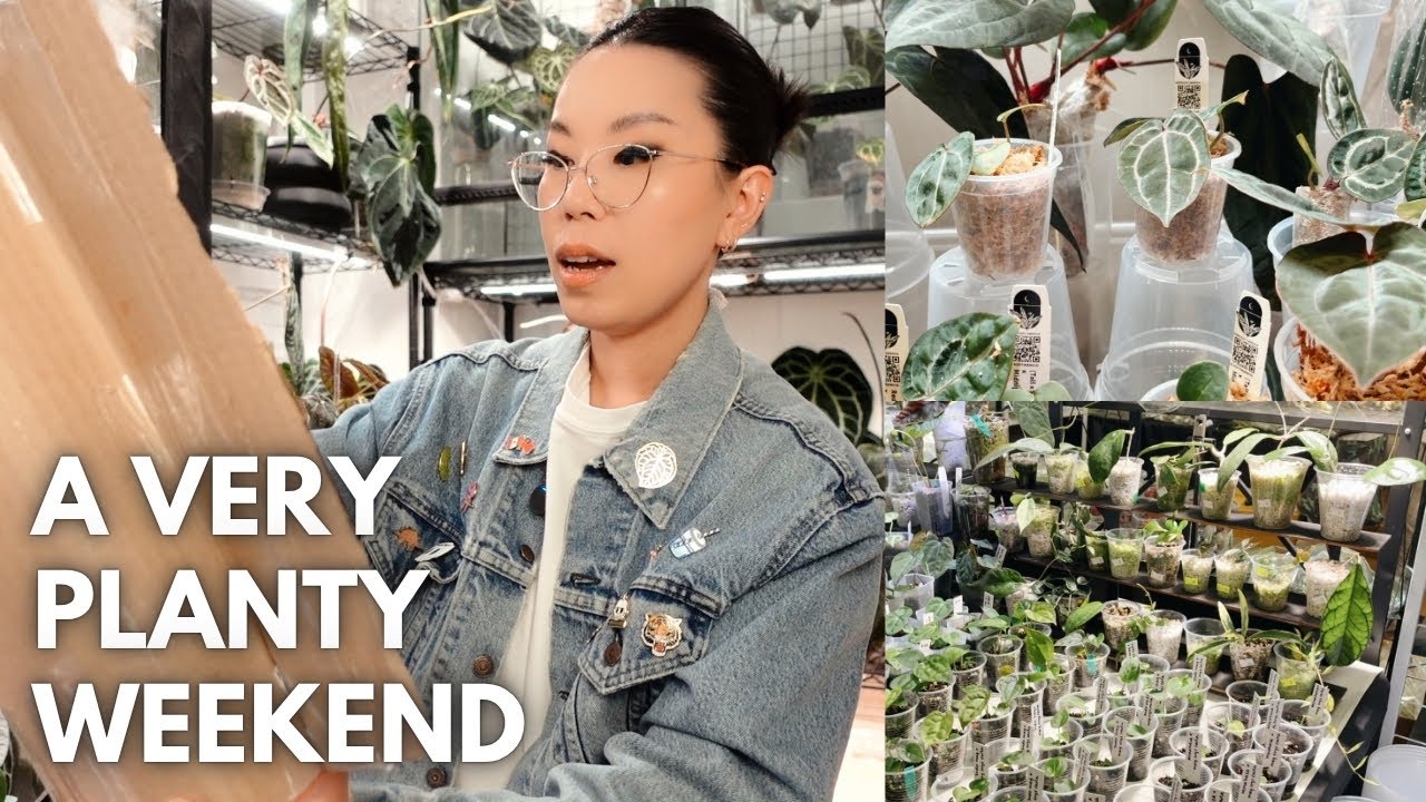 First time plant market vendor + a special unboxing 🥰