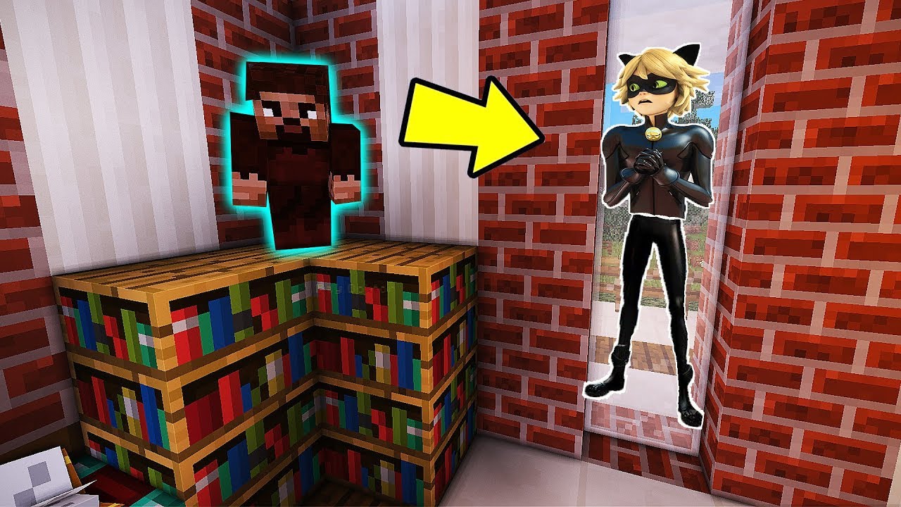 KARA KEDİ FAKİR'İ ÖLDÜRÜCEK !! 😱 - Minecraft