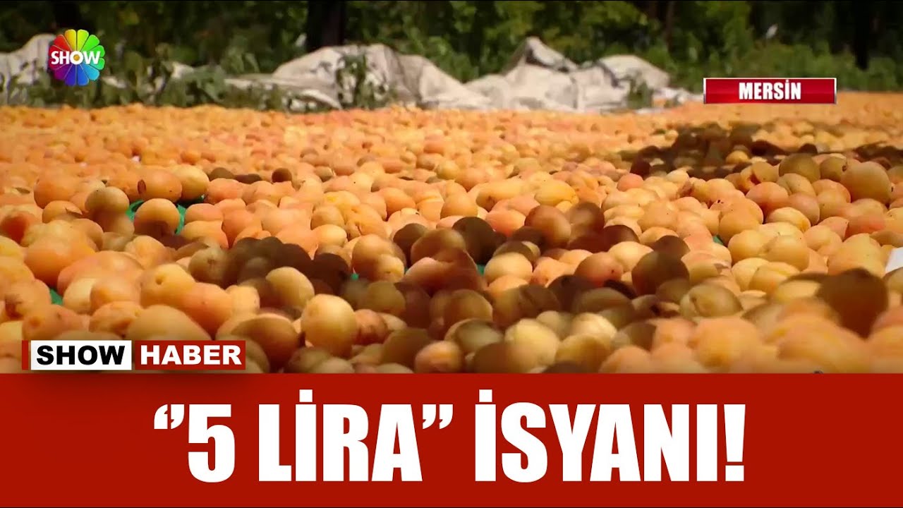 Kayısı fiyatı çakıldı