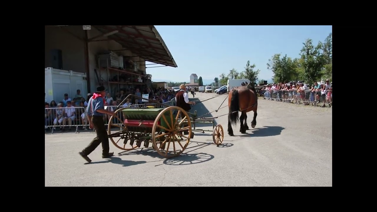 F&ecirc;te de la moisson d&eacute;fil&eacute;  2024