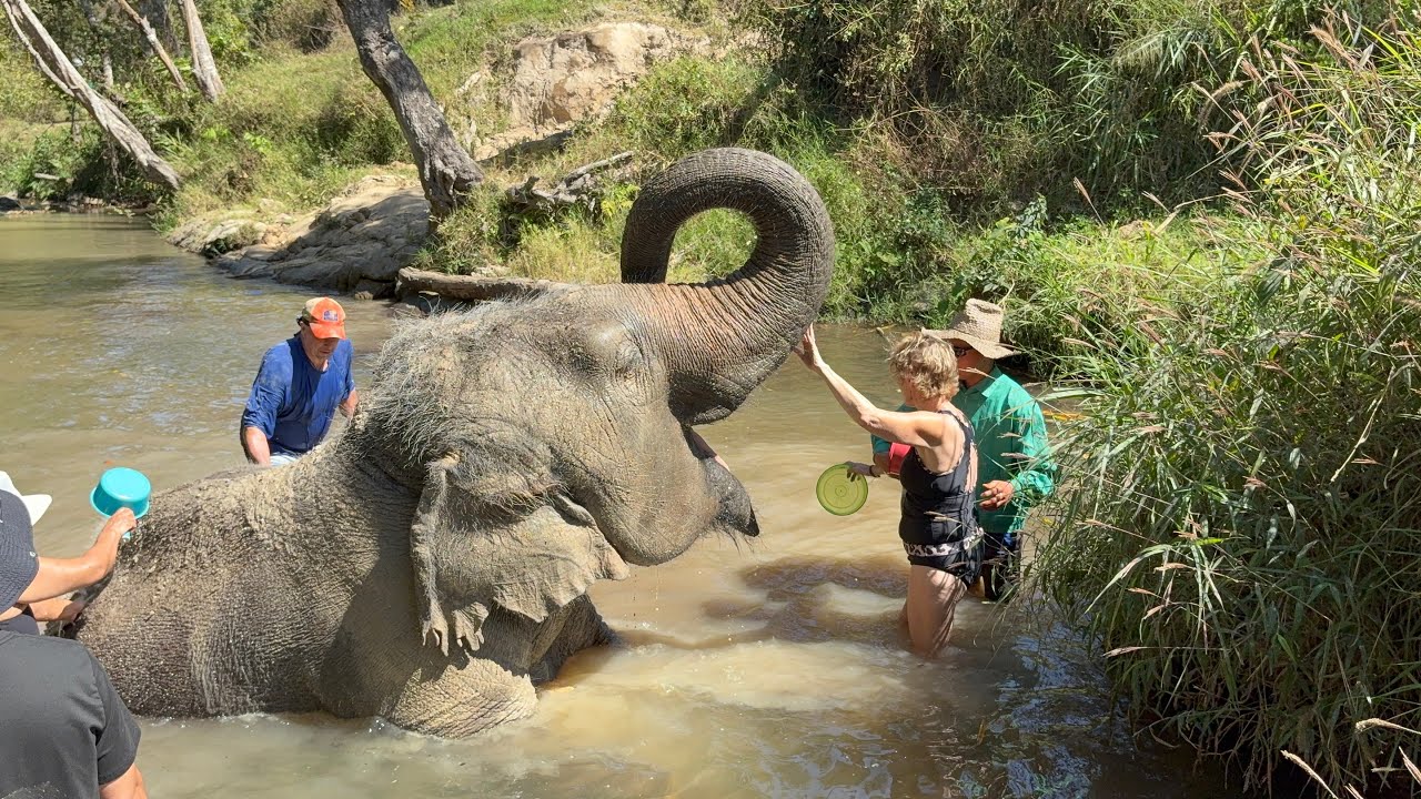 Chiang Mai Elephant Sanctuary...What awesome friends they are!