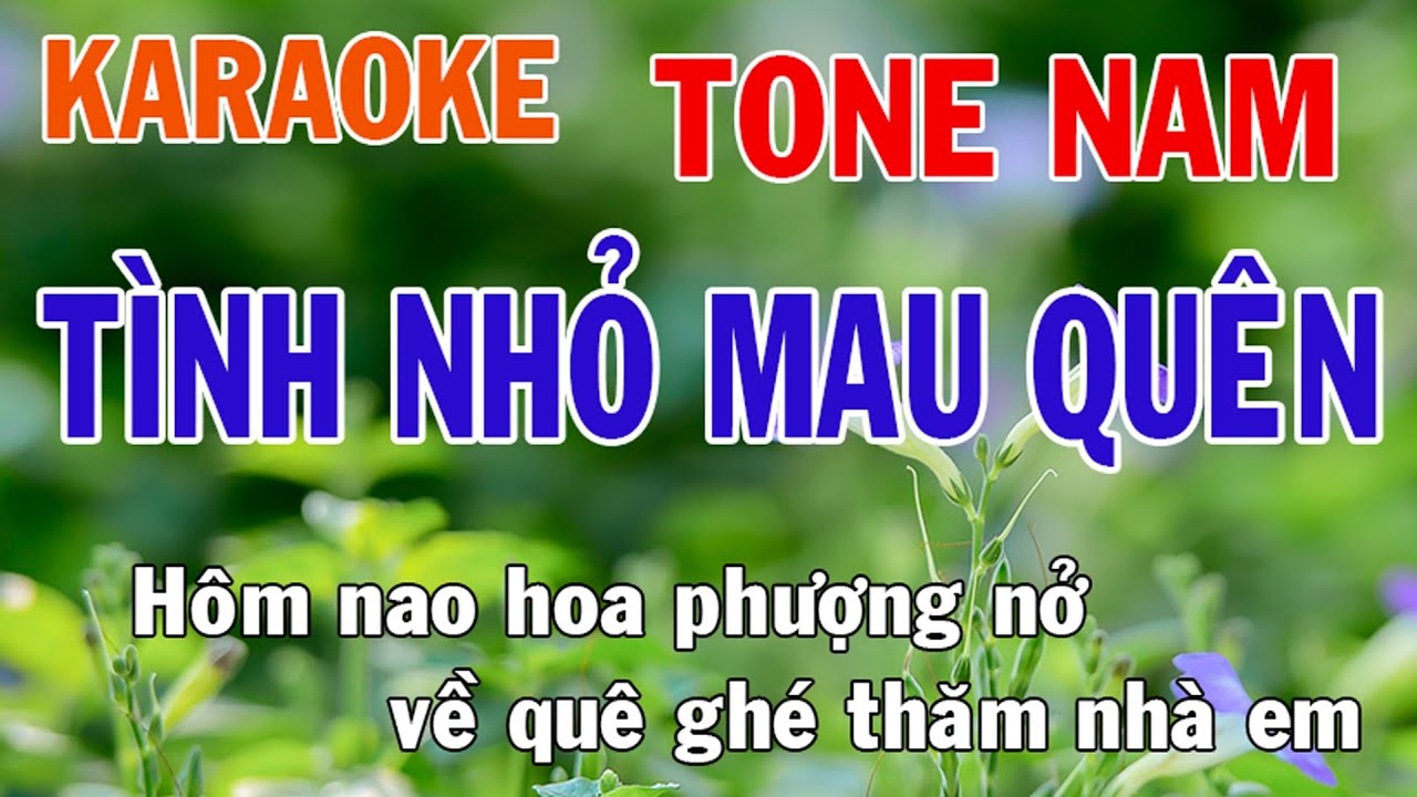 Tình Nhỏ Mau Quên Karaoke Tone Nam Nhạc Sống - Phối Mới Dễ Hát - Nhật Nguyễn