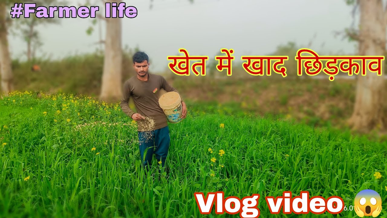 New vlog || खेतों में खाद छिड़काव || #farmerlife#newvlog#viralvideo #trendingvlog #farmer vlogvideo