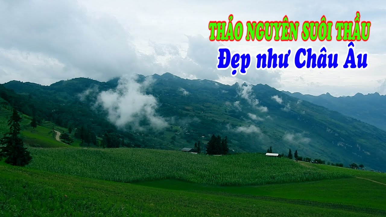 ⛳Đến với Thảo nguyên suôi thầu xã Nàn Ma huyện Xín Mần vào dịp mùa hè bát ngát màu xanh | HOÀI CHOI
