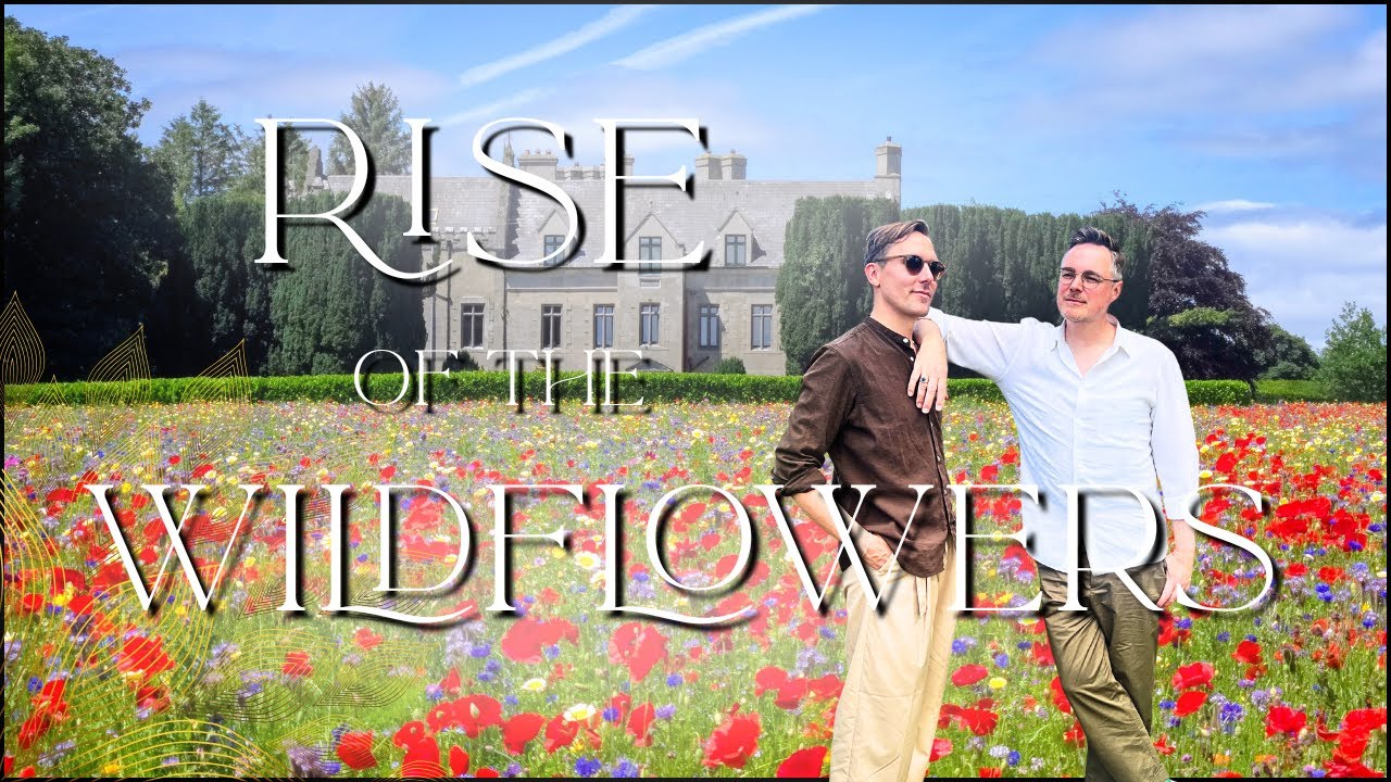 Watch What Happens When You Plant Wildflowers Everywhere!