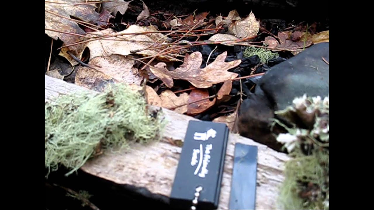 The Friendly Swede Magnesium Fire Starters