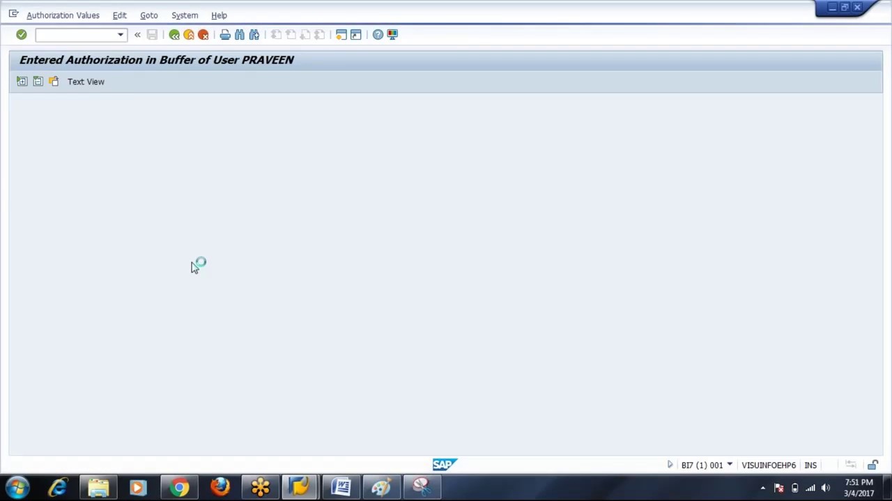 SAP BASIS Tcode SUIM