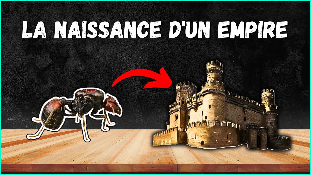 Messor cephalotes, un déménagement en catastrophe ! ( Le début d'un empire ) 16-01-2024 .