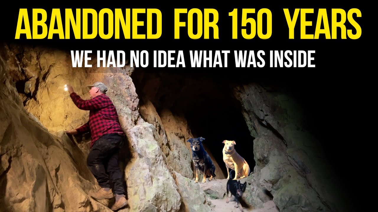 Exploring Abandoned Goldmines with My Dogs | Cold Camping & Campfire Cooking
