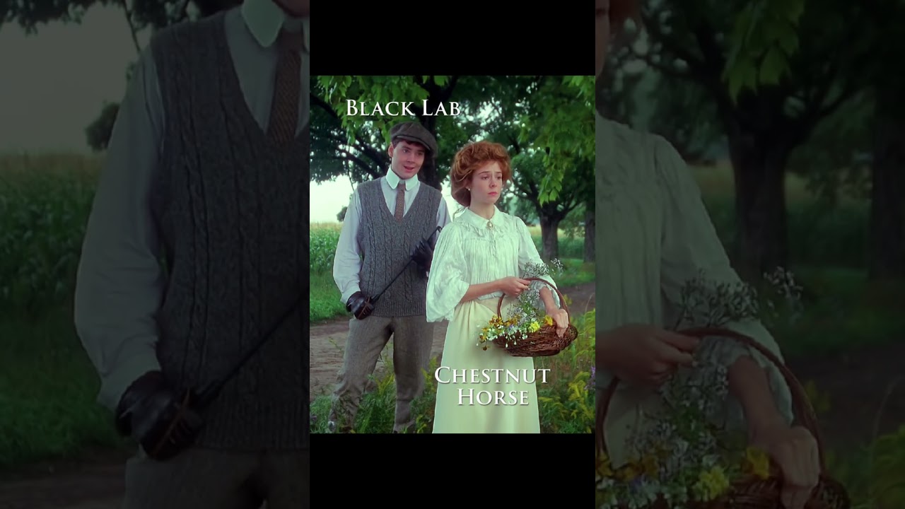 They complete each other 💕 #anneofgreengables