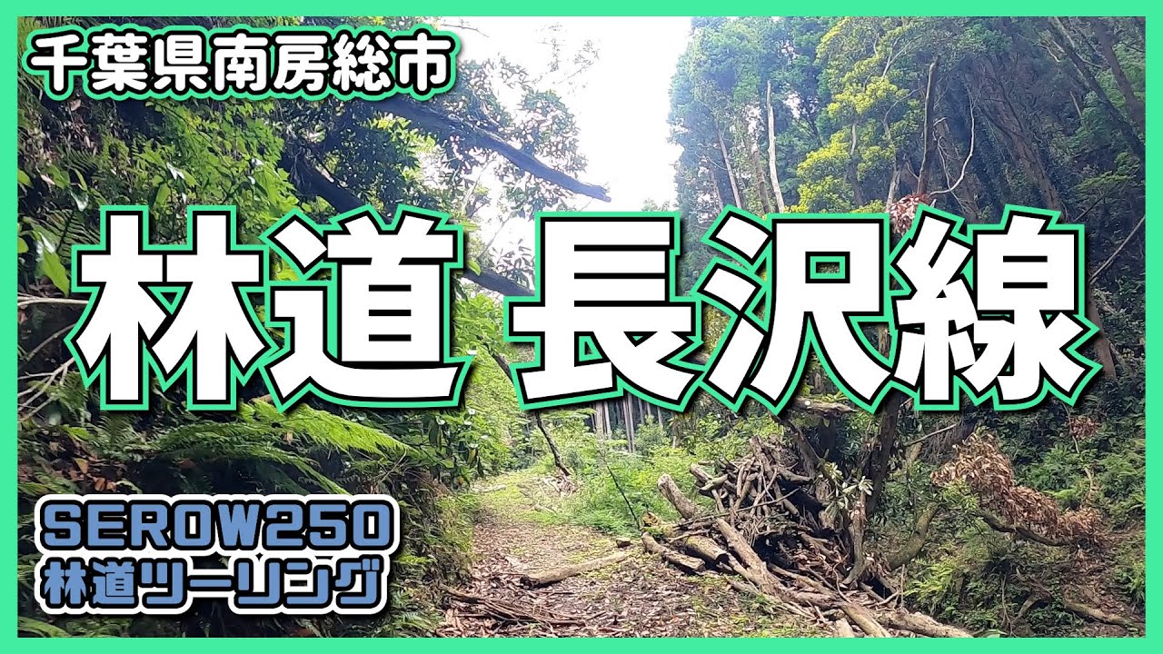 林道 長沢線◆SEROW250◆千葉県南房総市