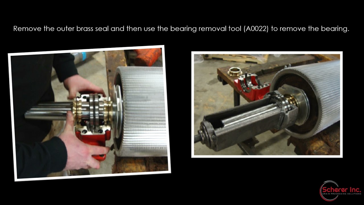 Scherer Maintenance