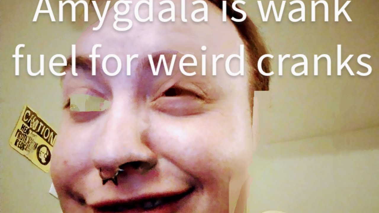 Sam Fennah's Amygdala review: Don't