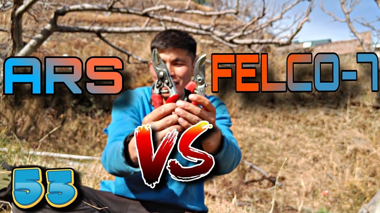 ARS Vs Felco7 vs Flowra Scissors |Day 53 of 60 Days Videos Challenge| Rakesh Roka 