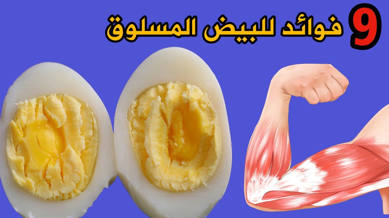 تناول البيض المسلوق يوميا وهذا ما ستحصل عليه من فوائد | فوائد البيض
