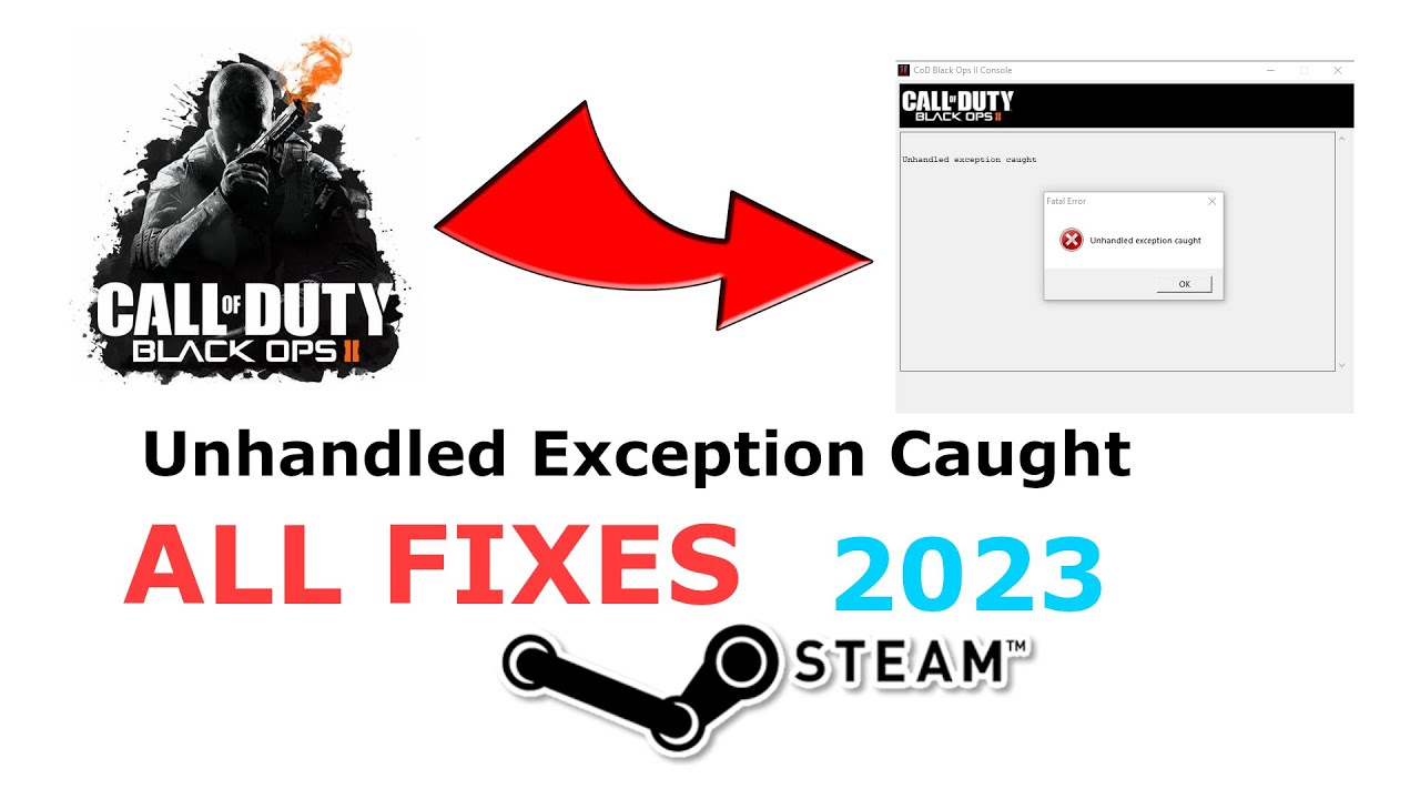 Black Ops 2 Unhandled Exception Error Steam FIXED (NEW)