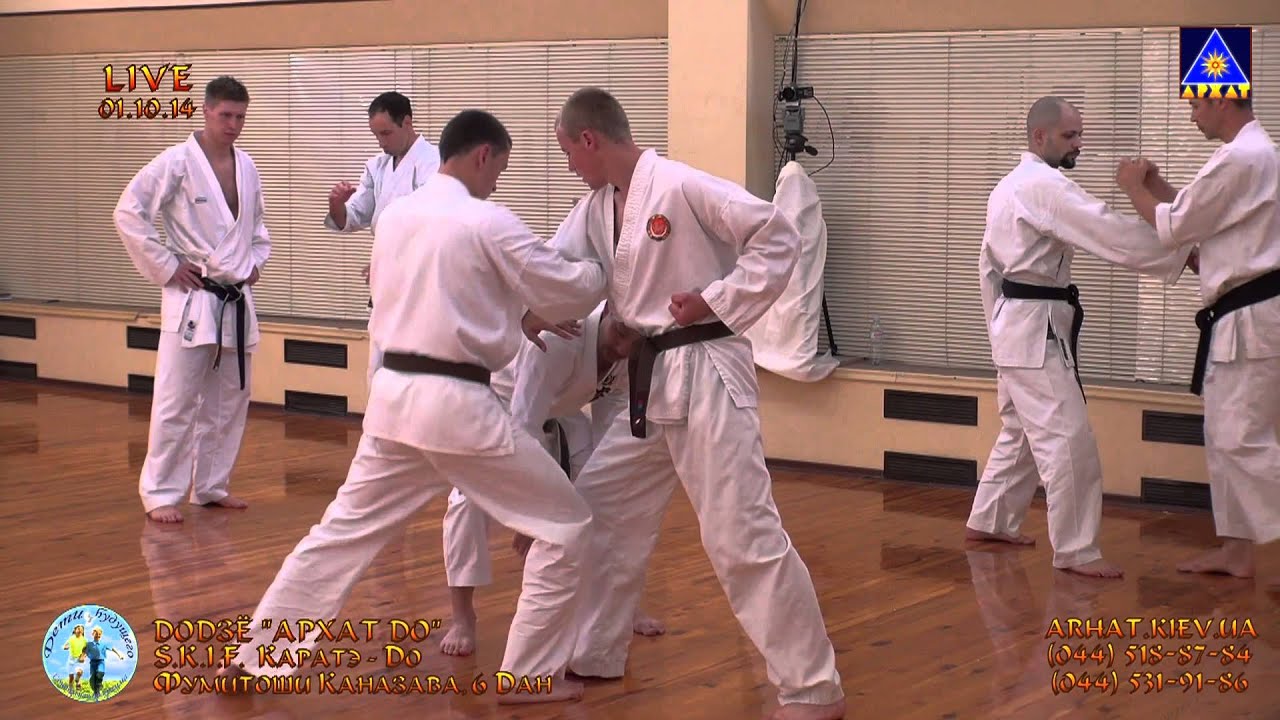 SKIF каратэ Фумитоши Каназава 01.10.14 (ч.3) семинар