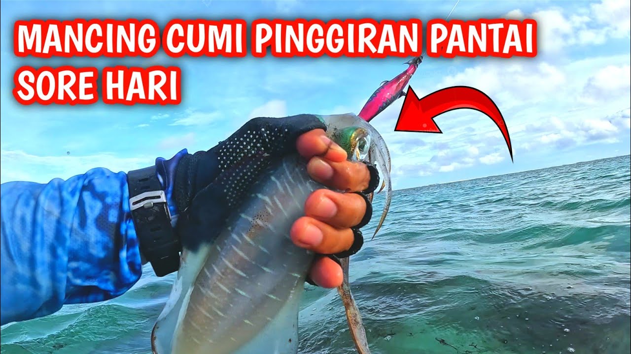 ‼️MANCING CUMI PINGGIRAN SORE HARI‼️EGING BALI ‼️CUMI MANIA