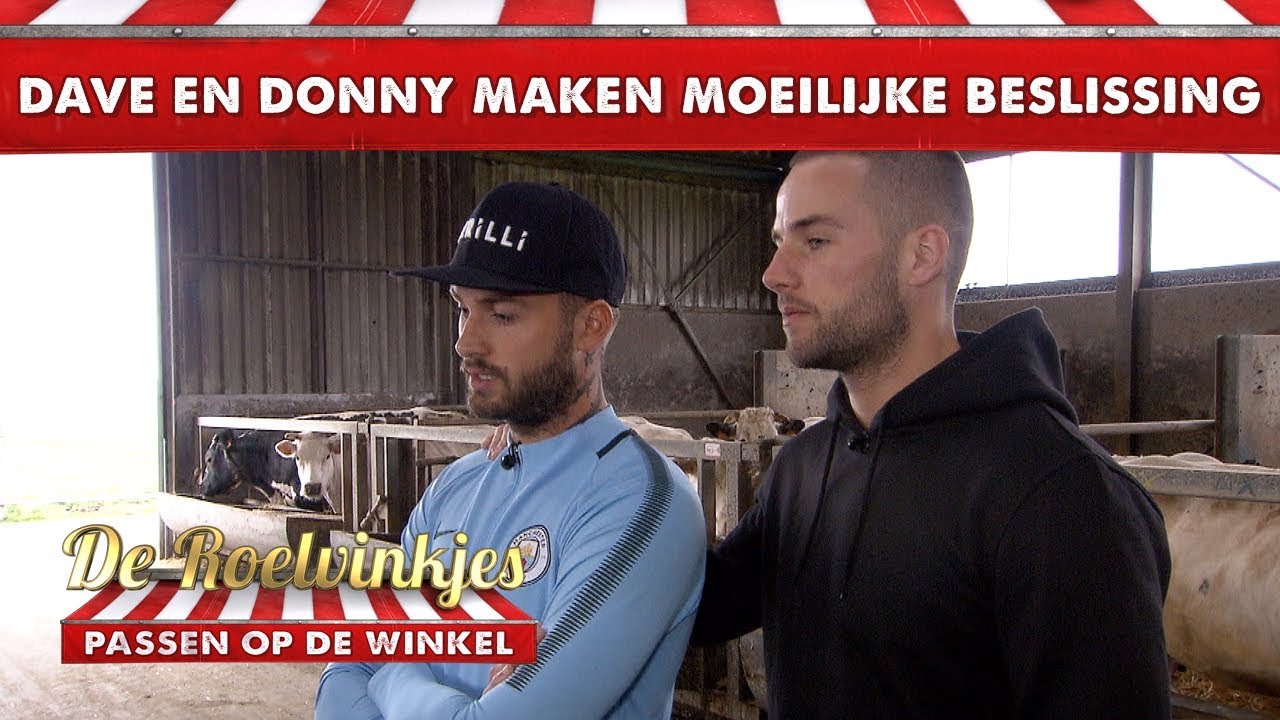 Dave en Donny kiezen koe uit om te SLACHTEN! | De Roelvinkjes