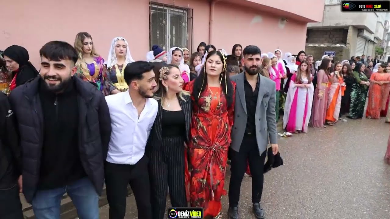 Serhat Behremen Düğünü Part 6 Behremen Ailesinin Görkemli Düğünü Müzik-Grup Nihat Silopi