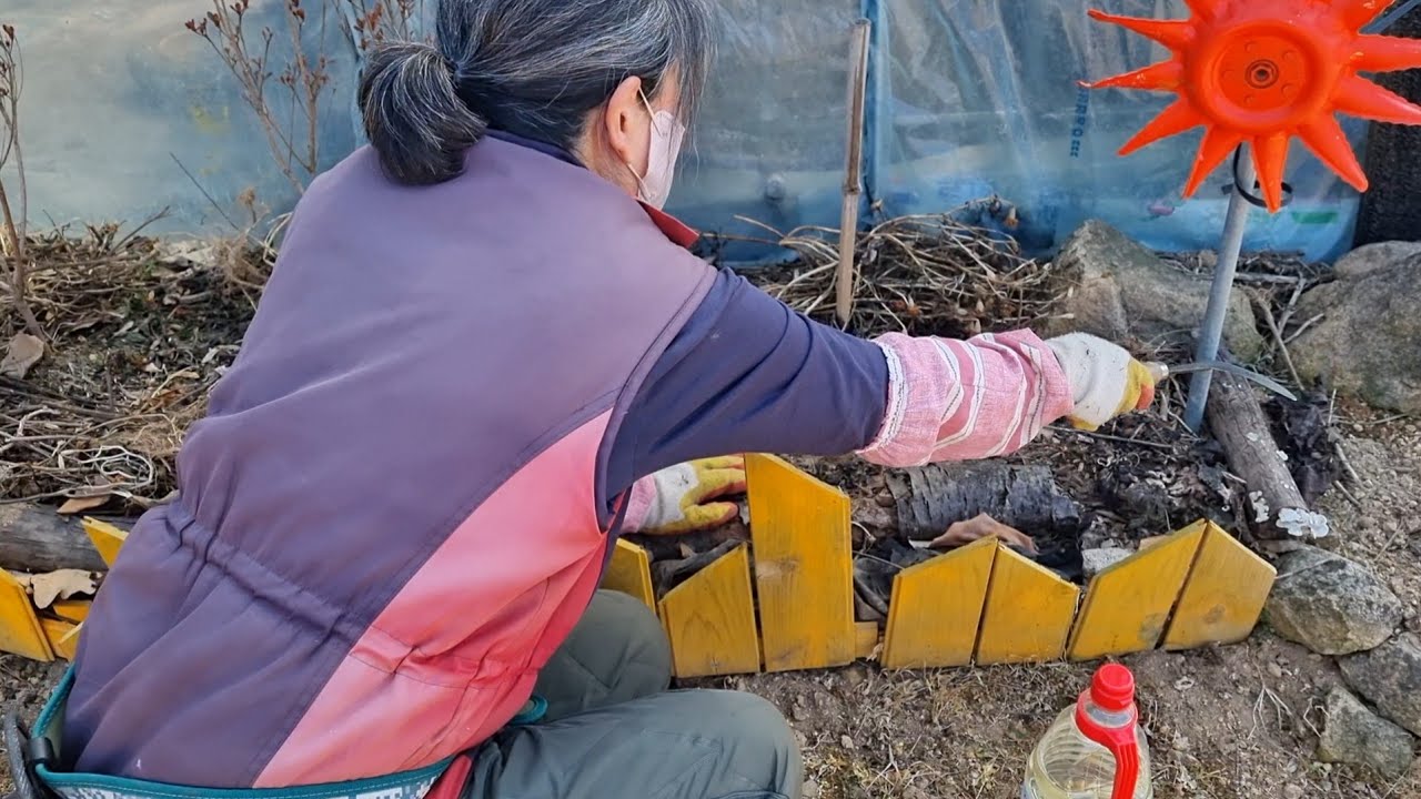두더지 생포했어요(사진없음)
