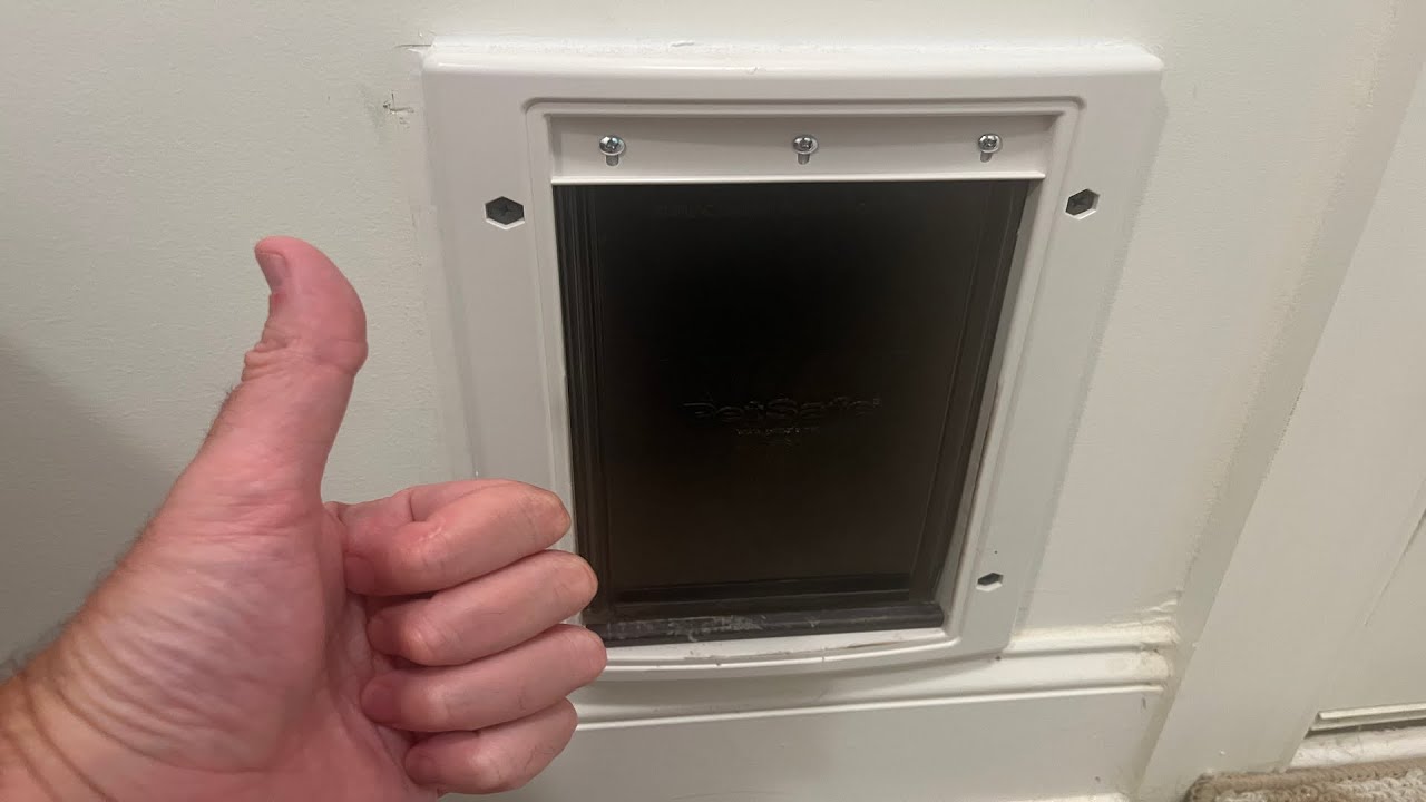 Product Review: Something WE LOVE About The Petsafe Cat/Dog Animal Door | Product Reviews by Dad