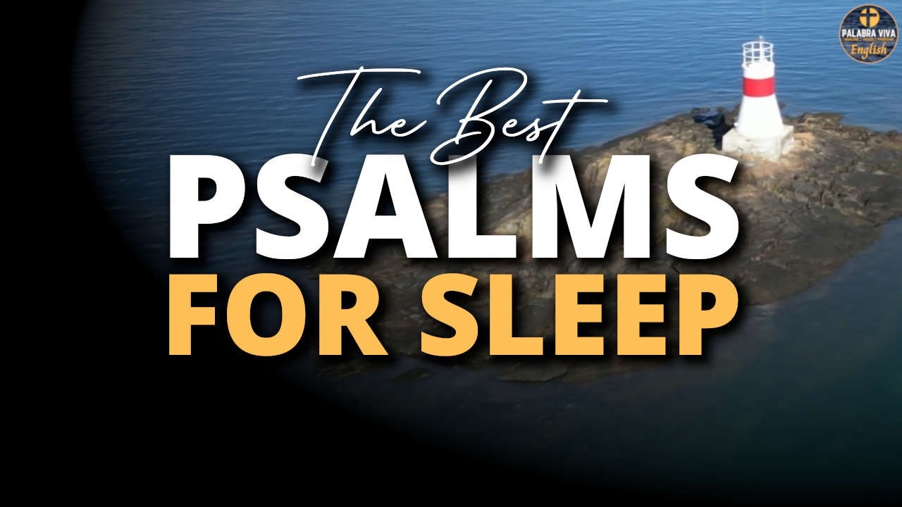The Best Psalms to Sleep | Soft and Calming Bible Reading｜Psalms｜Audio Bible