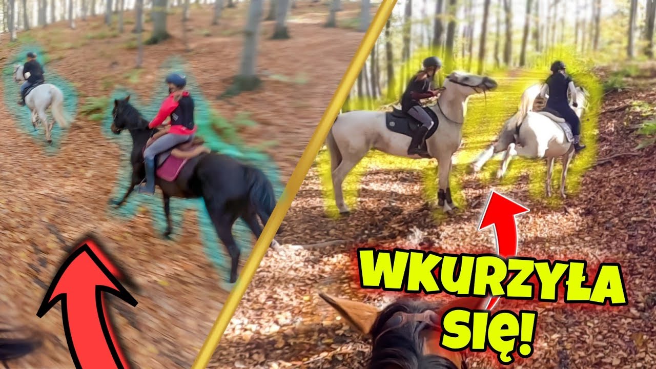 NIE MOGLIŚMY ICH ZATRZYMAĆ!... Mini rajd konny!