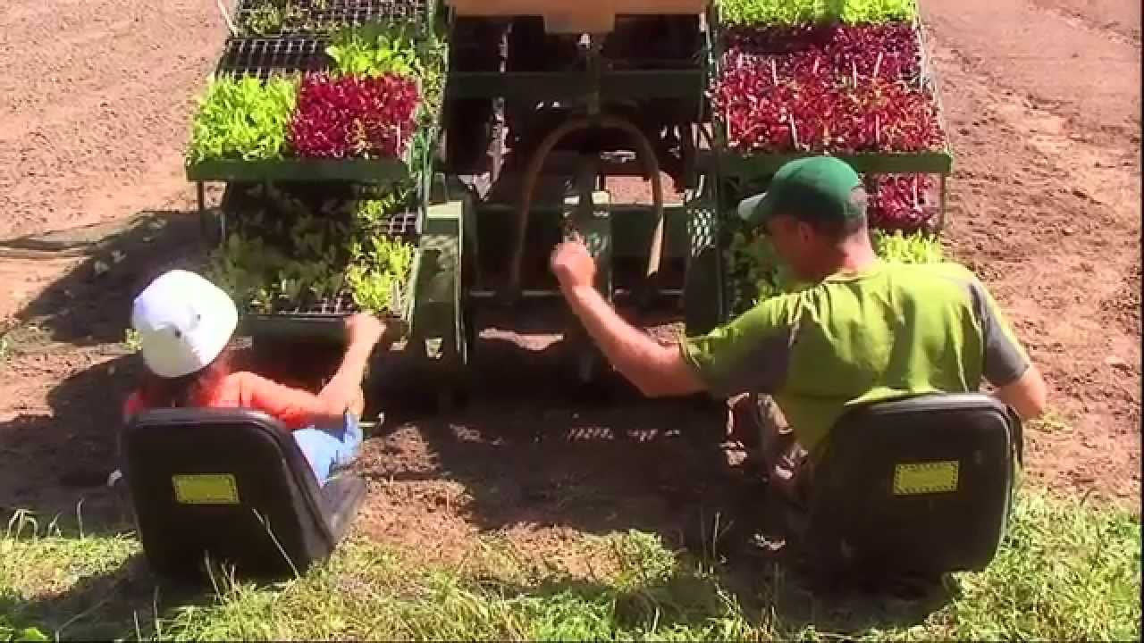 This Is Emily Yeung Riding On A Tractor