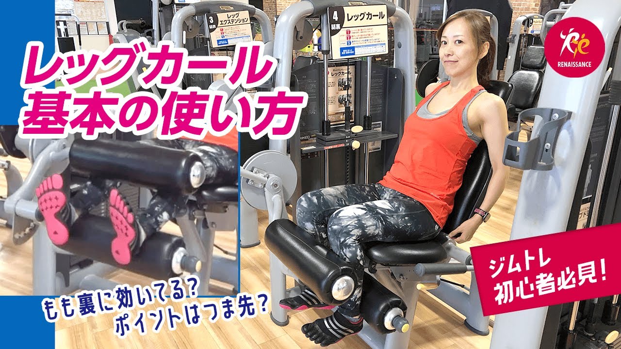 【ジムトレ】レッグカールの基本の使い方徹底解説〜もも裏に効かせるポイント・初心者おすすめ〜