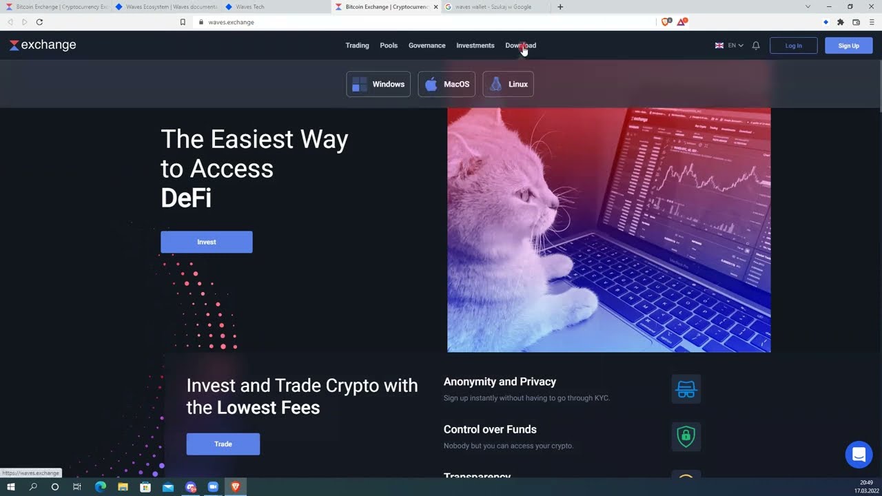 Waves Exchange DEFI guide part 1
