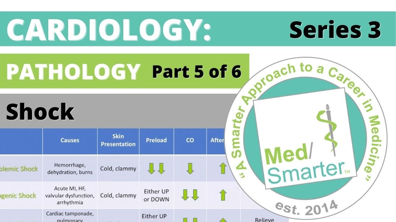 USMLE Step 1 | Cardiac: Pathology | MedSmarter | S3 Part 5 of 6 | Shock