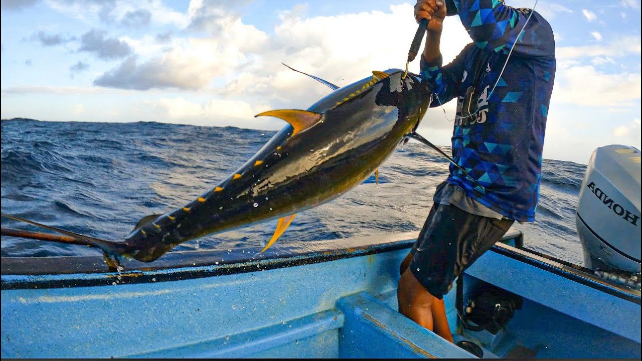 🇹🇹 Epic Tuna Fishing With Hand line | Trinidad & Tobago