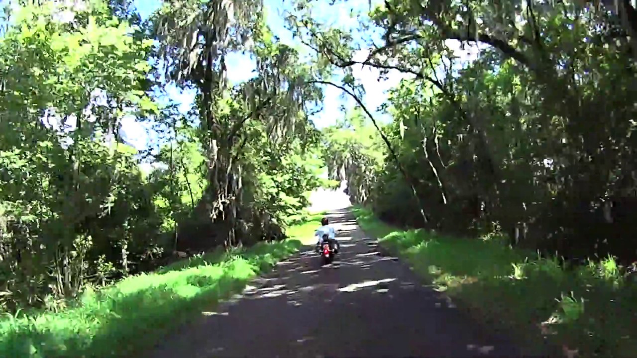 Best Back Roads In Florida - We have custom routes