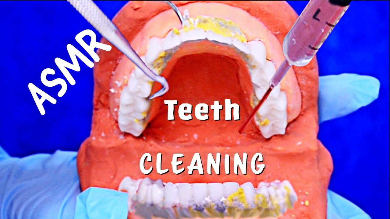 ASMR Satisfying Teeth Cleaning 🦷  (No Talking)