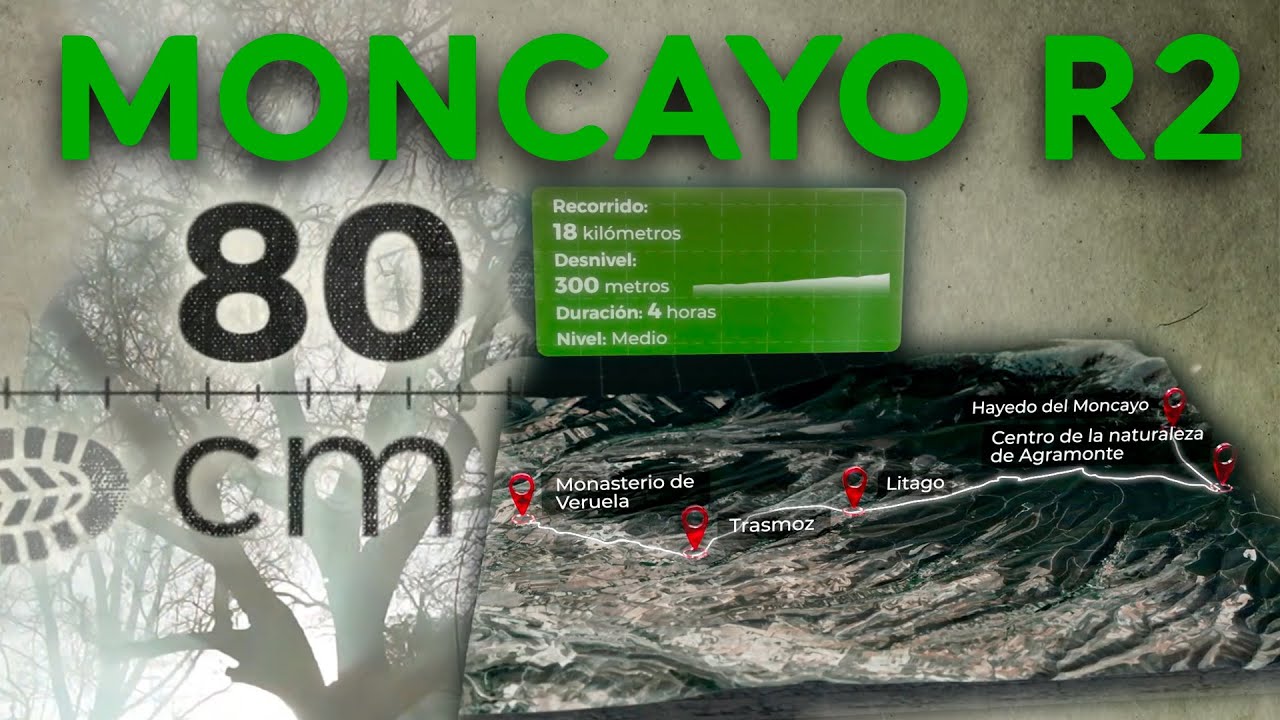Moncayo, ruta 2 - 80 cm | La2