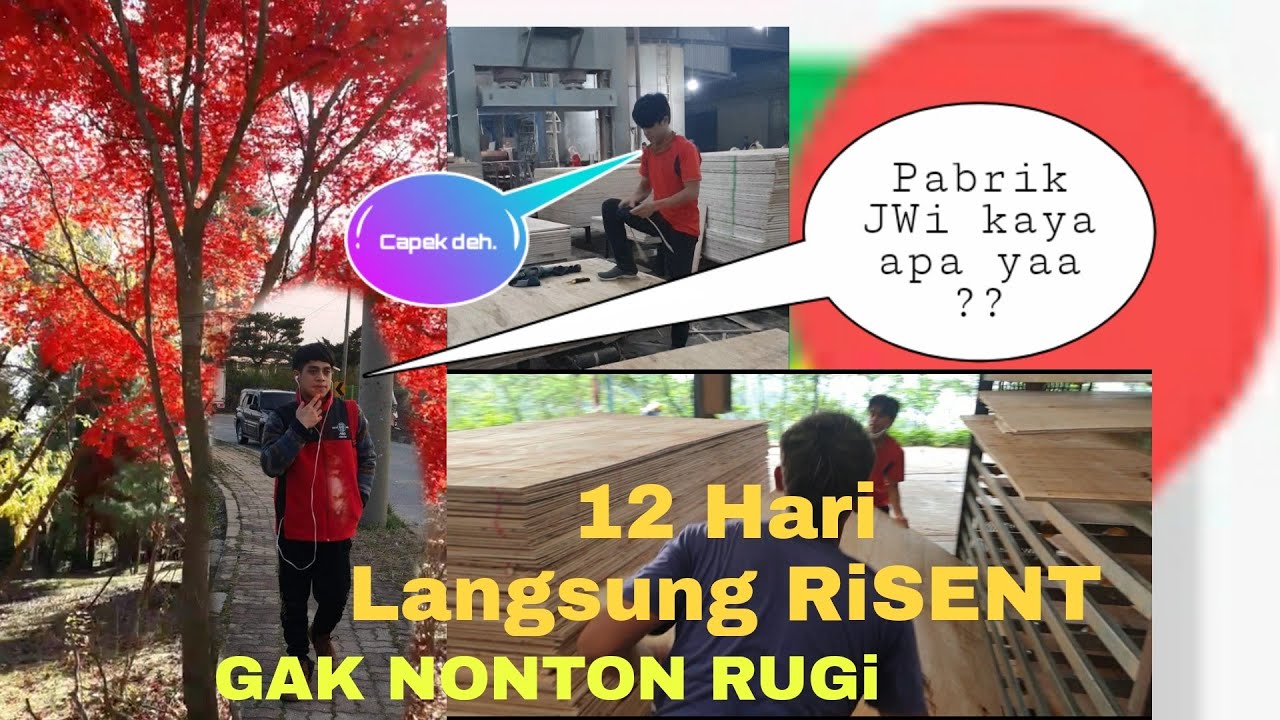 KiSAH 12 Hari Di PT.JWi Langsung Risent,,,KENAPA YAAA..??