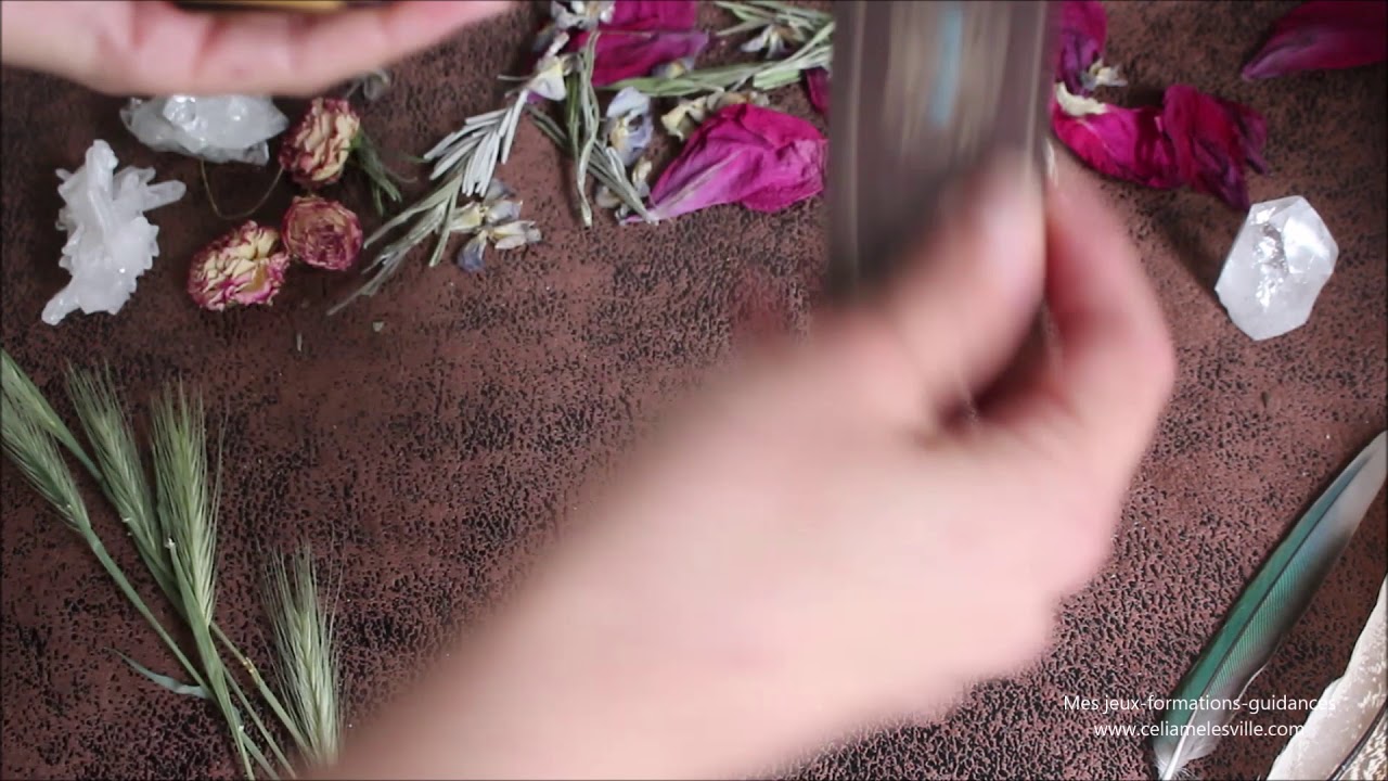 Présentation: Le petit oracle de la création de Eve Korigan