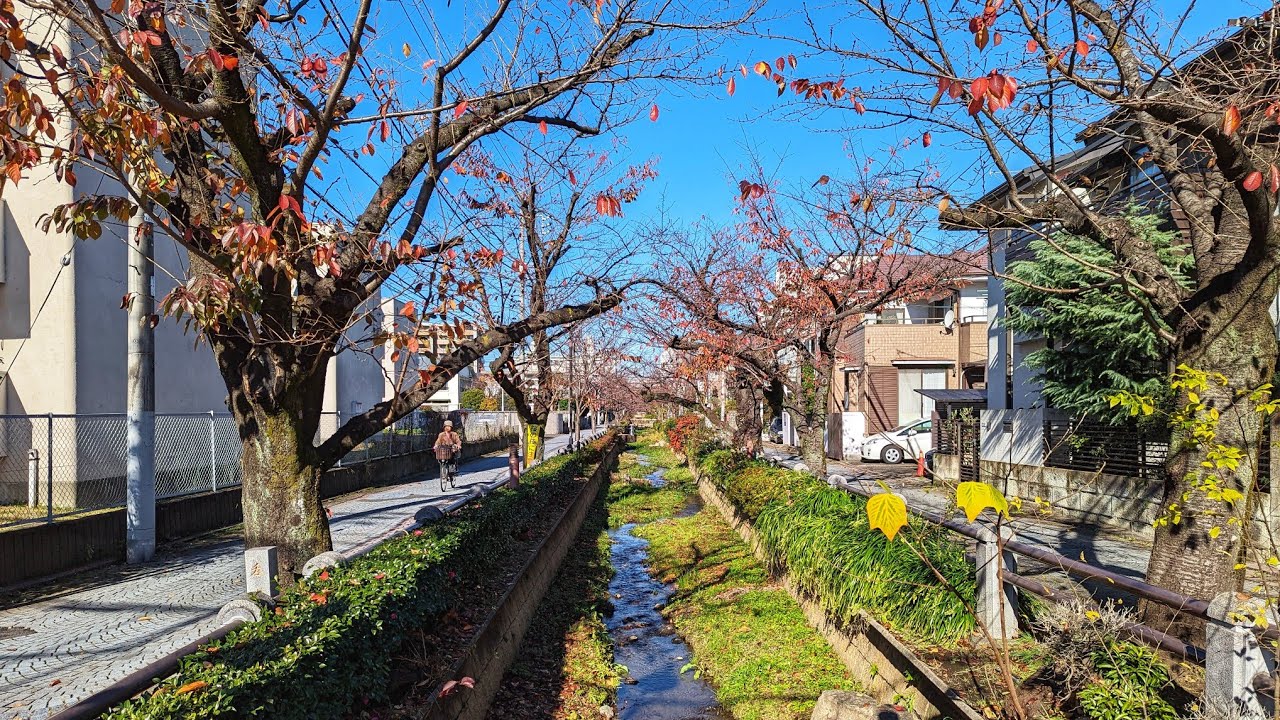 Tokyo Walk - Futako-Tamagawa to Komazawa Park