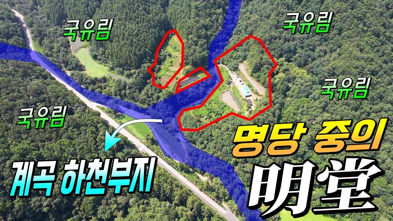 광활한 명당 of 명당 주위가 전부다 국유림 대자연 계곡토지!  정말 적극 추천드립니다