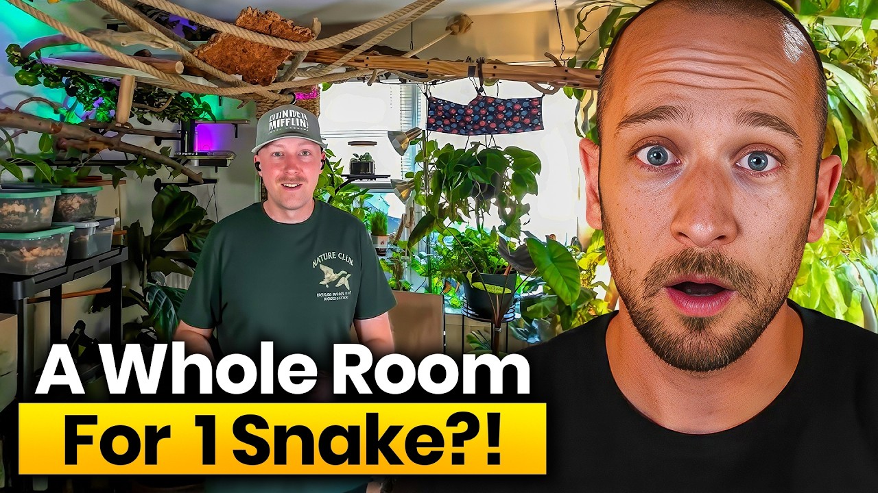 He Turned His Bedroom Into a Free-Roam Snake Enclosure! Ep - 240