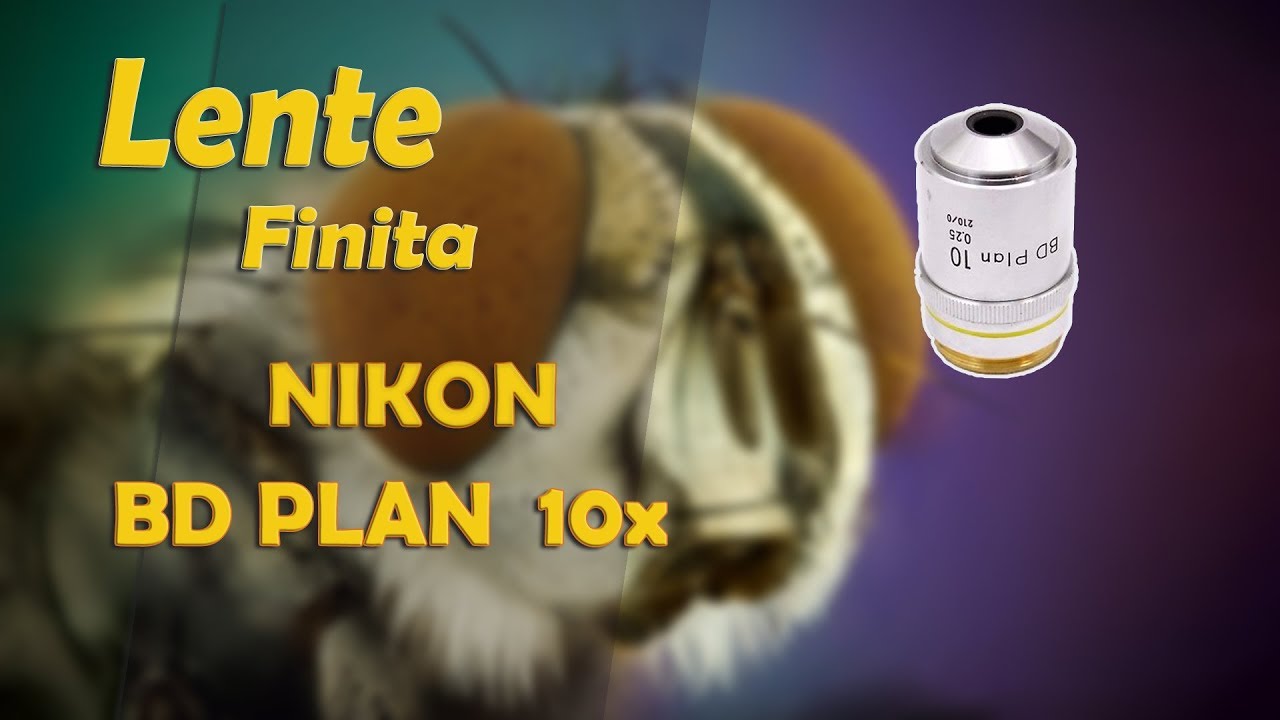 Lente finita NIKON BD Plan 10x para MACRO EXTREMO