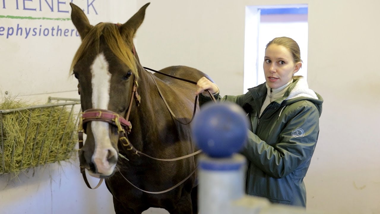 Stute beißt sich beim reiten - Baumloser Sattel im Check bei Ariane Telgen