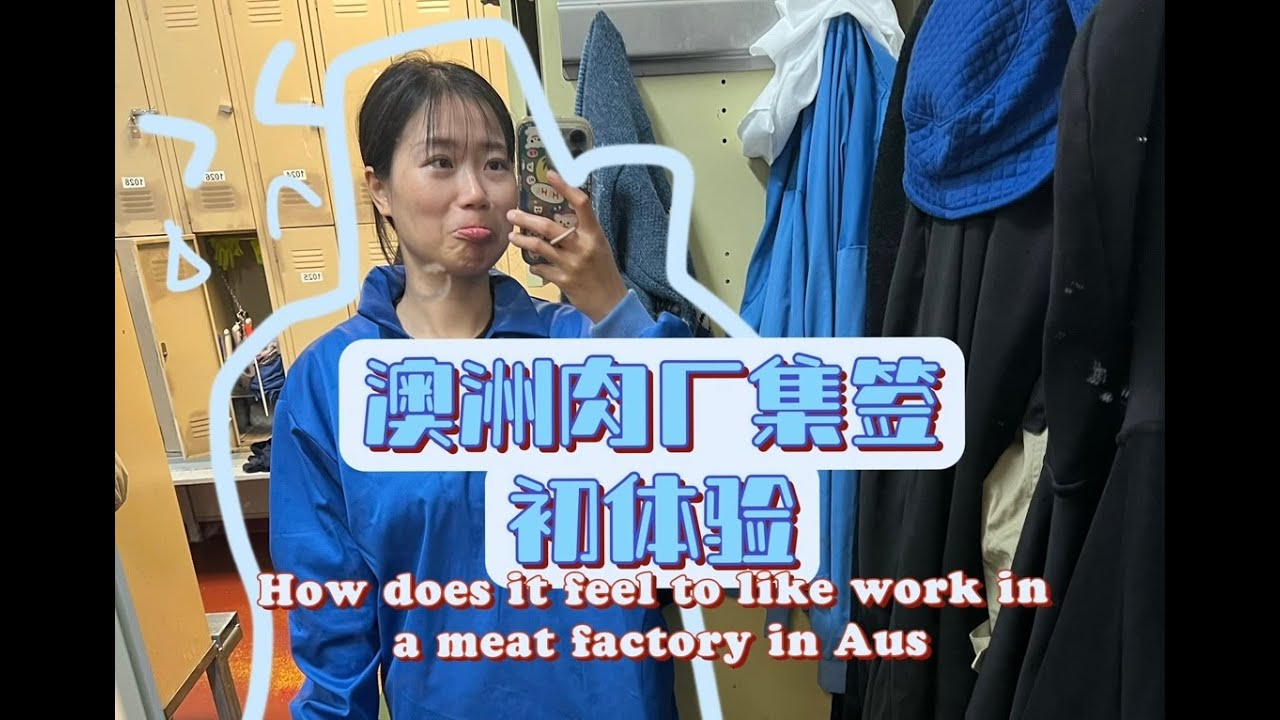 澳洲肉厂集签初体验｜How does it feel like to work in a meat factory in Aus