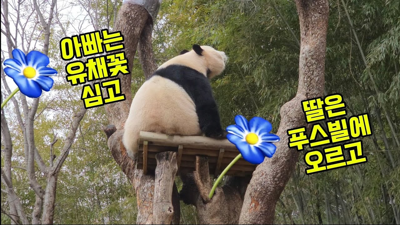 2026.03.03. 러아부부 한국 생활 10주년 아침