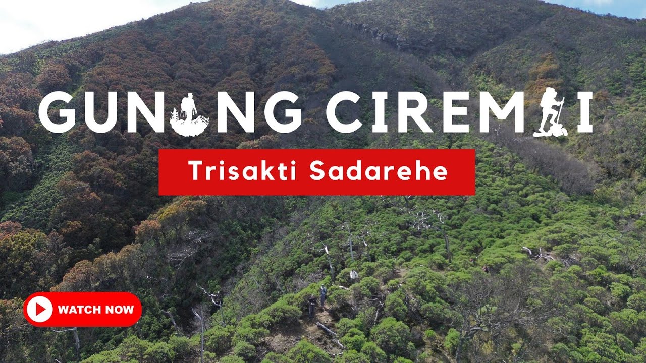 GUNUNG CIREMAI VIA SADAREHE | HAMPARAN KEBUN EDELWEISS YANG INDAH