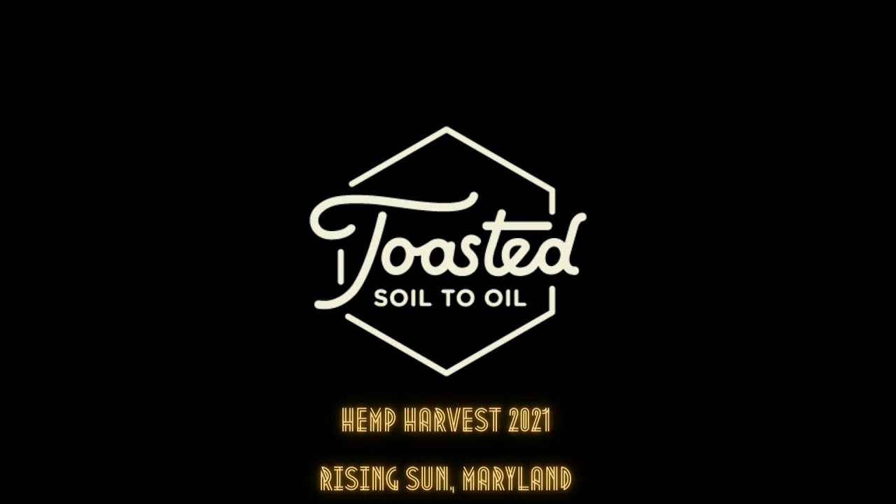 Toasted 2021 Hemp Harvest 1