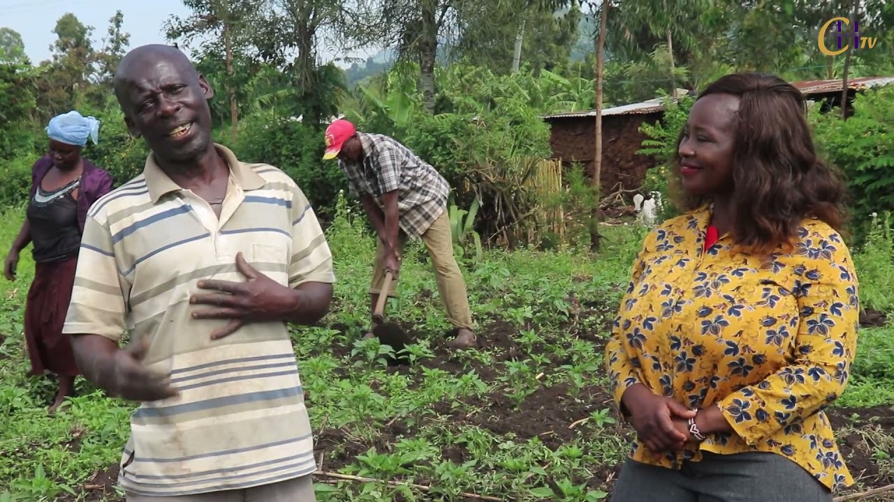 Faida ya Kilimo cha Pilipili Boga - Hoho ama Capsicum kwenye Kilimo Mali
